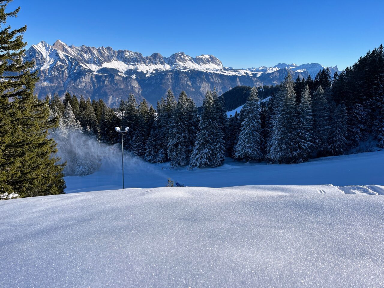 schneeschuhwandern-flumserberg-_IMG_7886