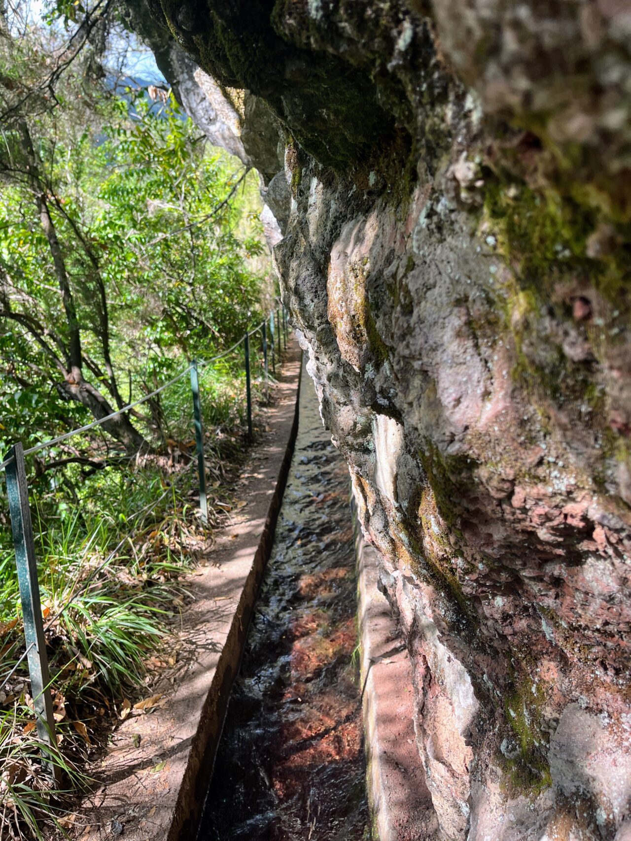 wanderung_levada_do_rei_pr18_