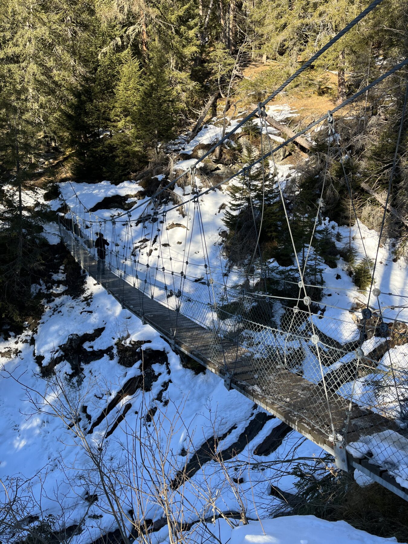 schneeschuhwandern_lantsch__IMG_0301
