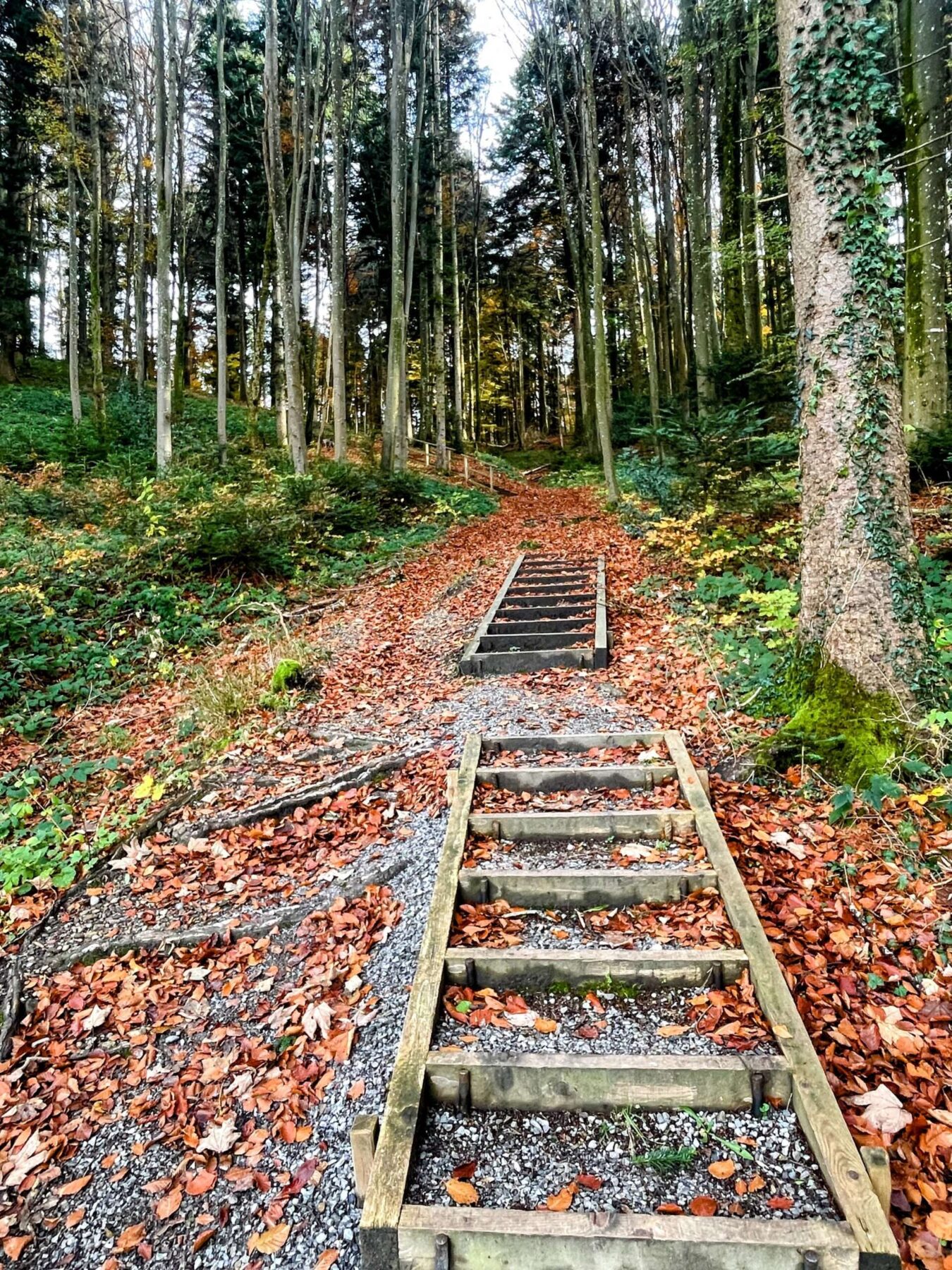 wanderung_schauenberg_