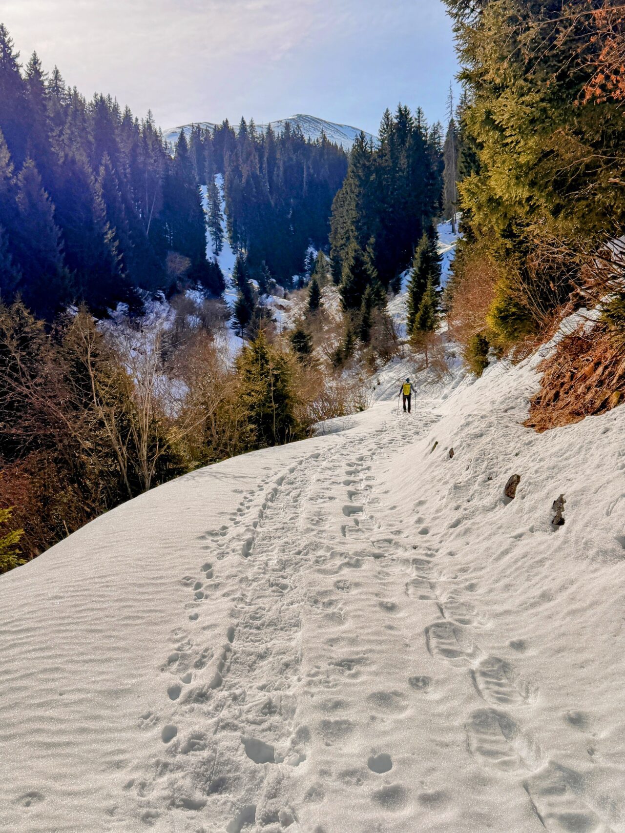 schneeschuhsafari-graubuenden-sedrun-disentis-_IMG_0278