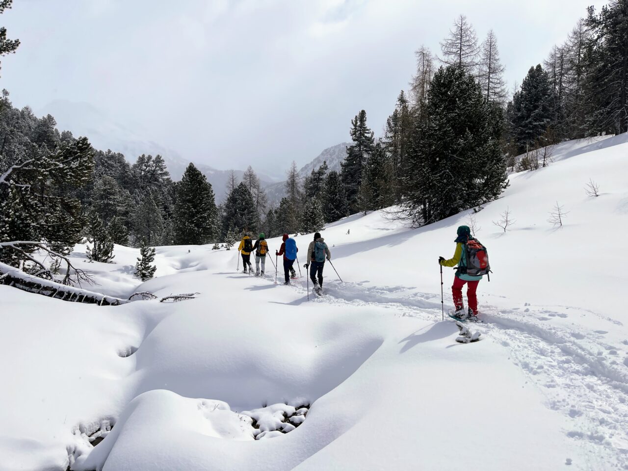 schneeschuhtour_buffalora_