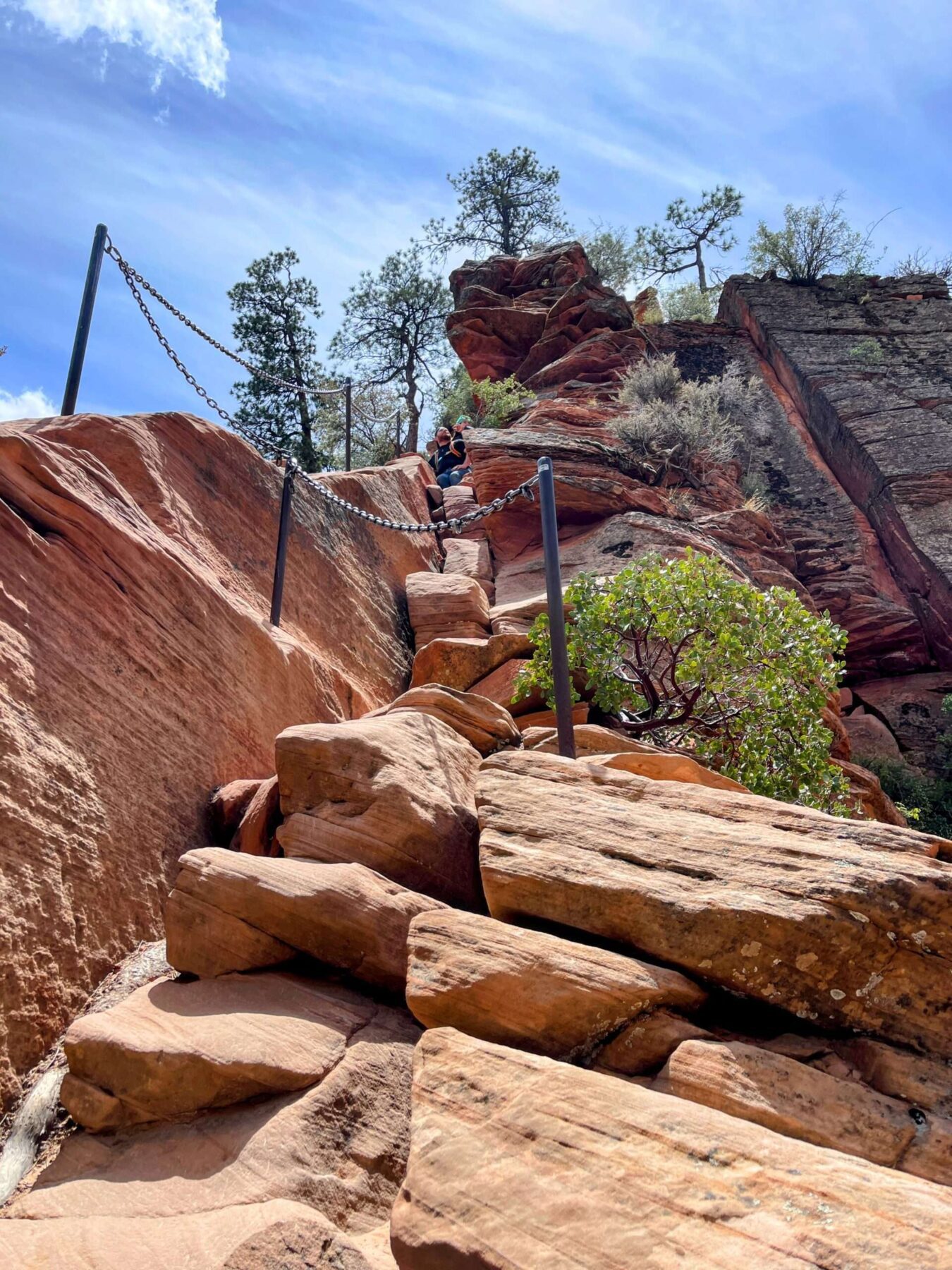 wanderung_zion_nationalpark_angels_landing_
