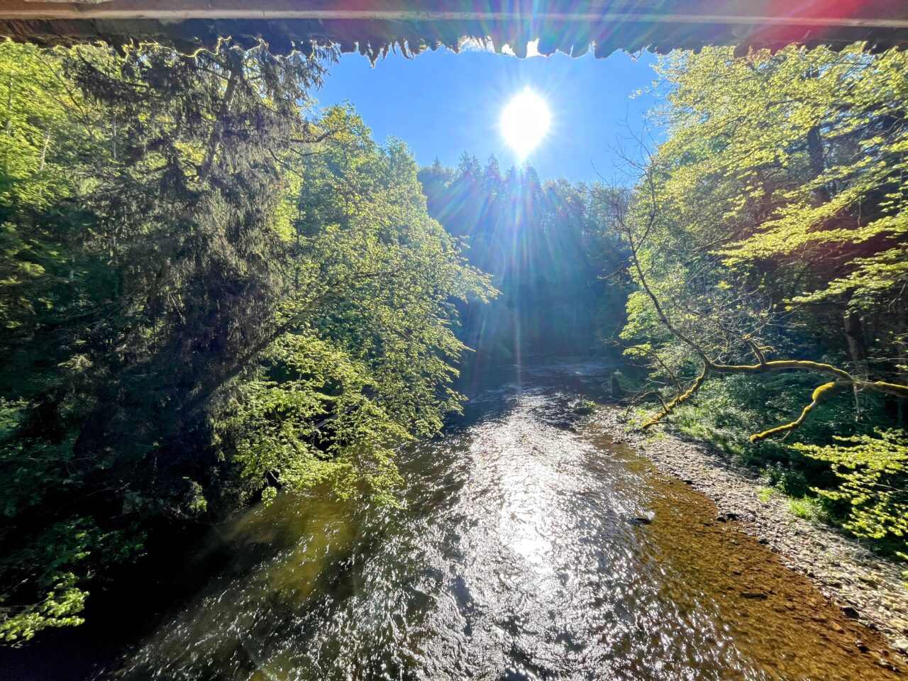 wanderung_schluchtensteig_schwarzwald_