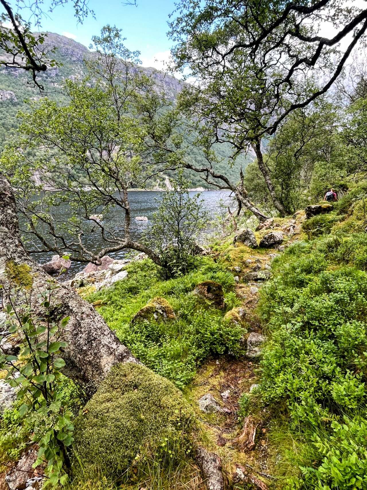 wanderung_eikeskog_blafjellenden_