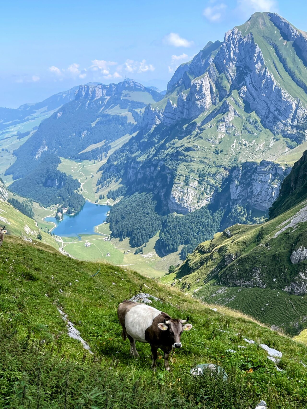 wanderung_saentis_lisengrat_rotsteinpasshuette_aegertenplatte_megisalp_messmer_himmelsplatte_