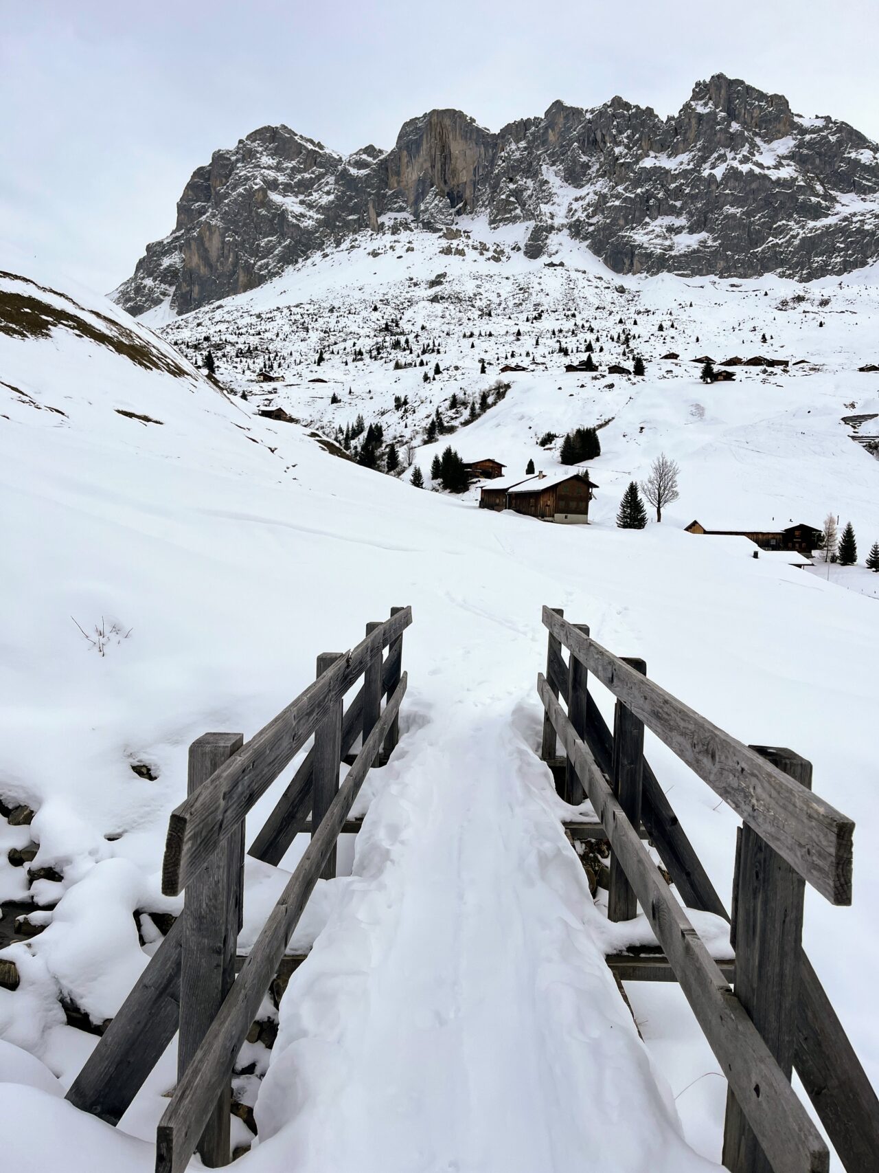 schneeschuhwandern-carschinahuette-_IMG_8057
