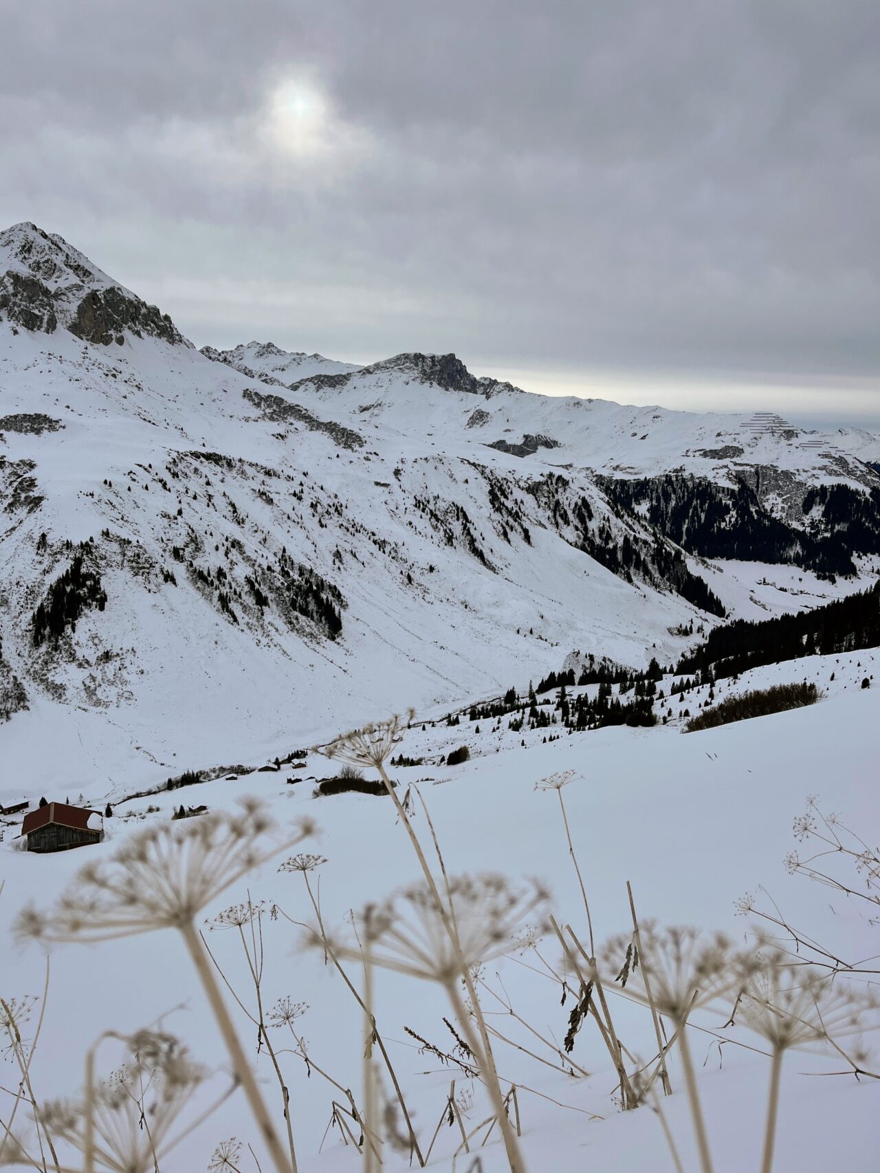 schneeschuhwandern-carschinahuette-_IMG_8064