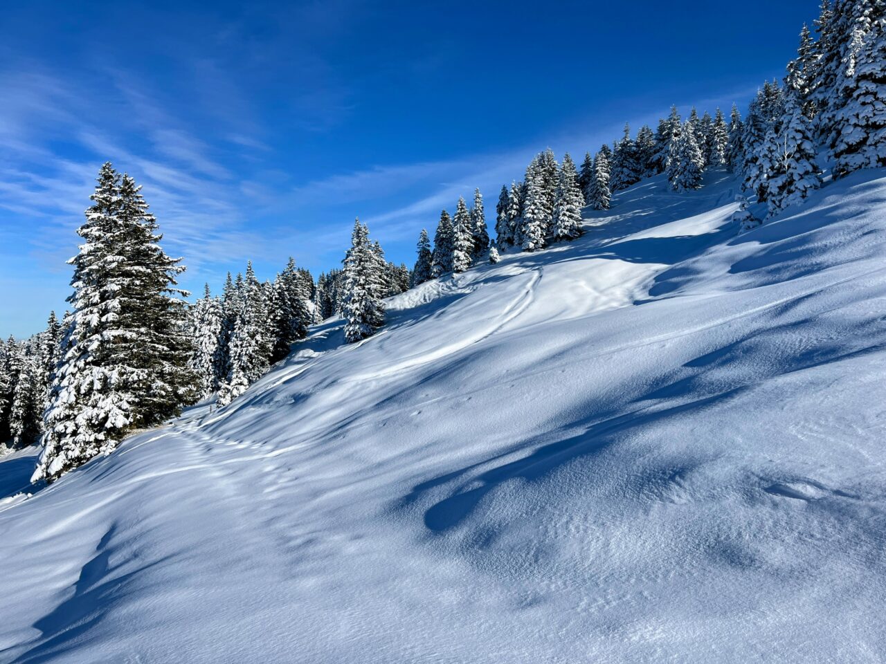 schneeschuhtour_laucherenstoeckli_ibergeregg_brunni__IMG_5782