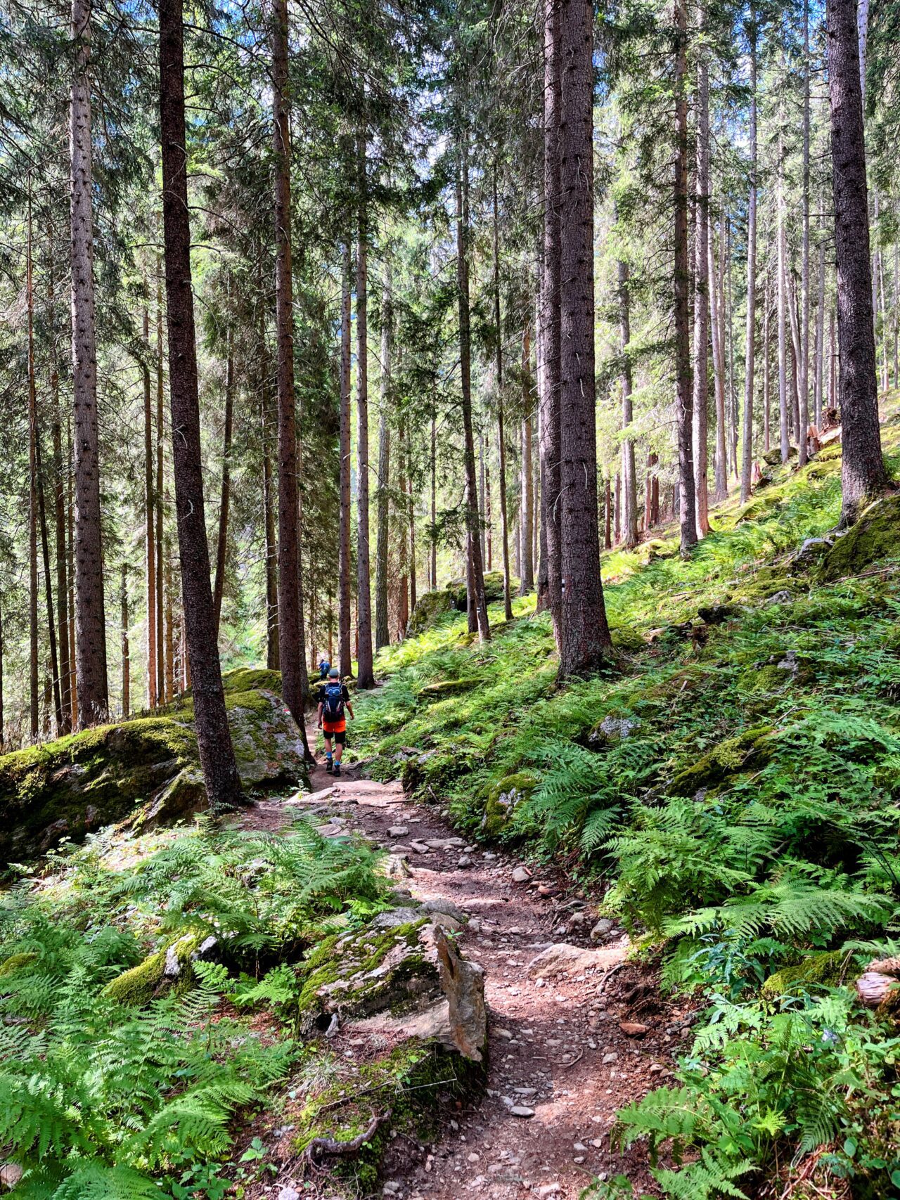 wanderung-meraner-hoehenweg-Pfelders-St-Martin-in-Passeier-