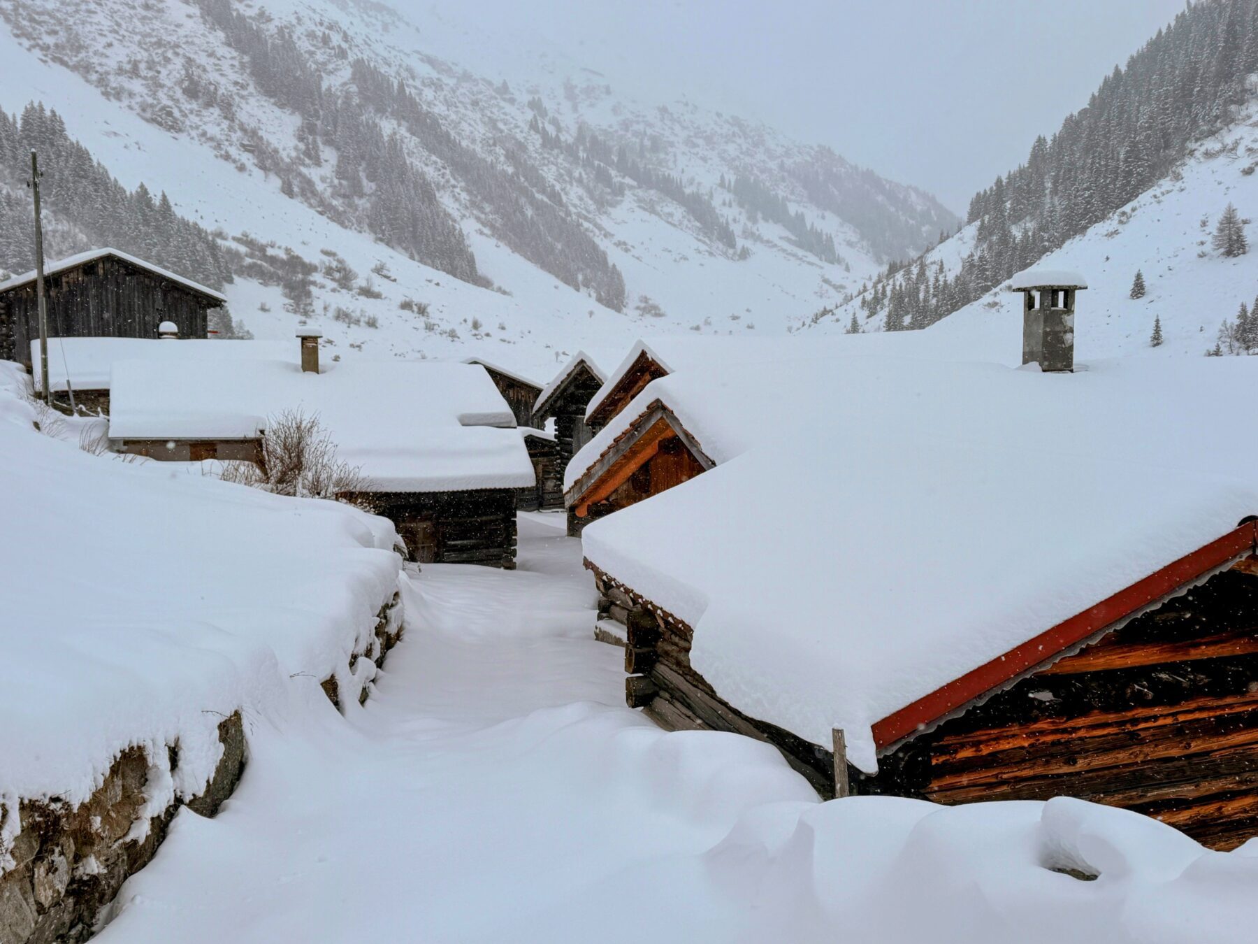 schneeschuhwanderung_klosters_schlappin__IMG_8915