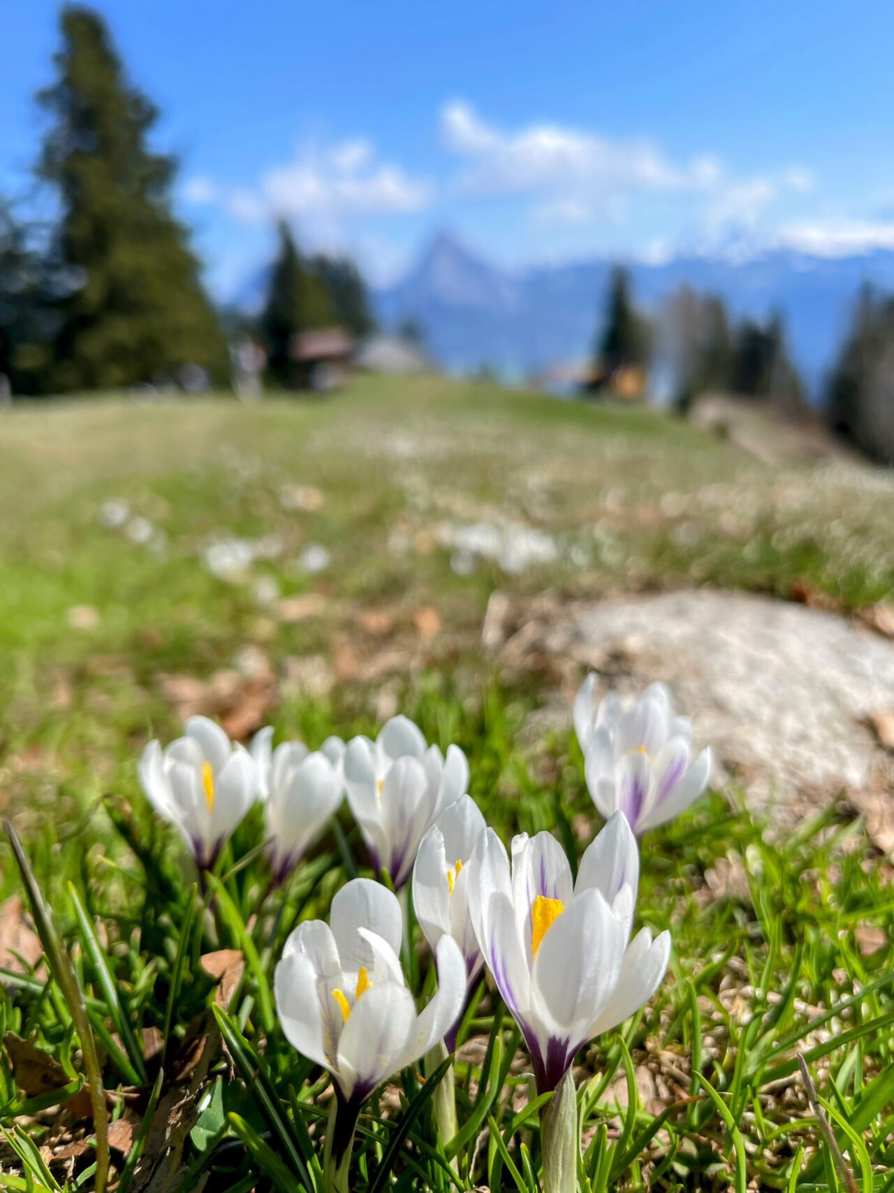 wanderung_urmiberg_stockflue_