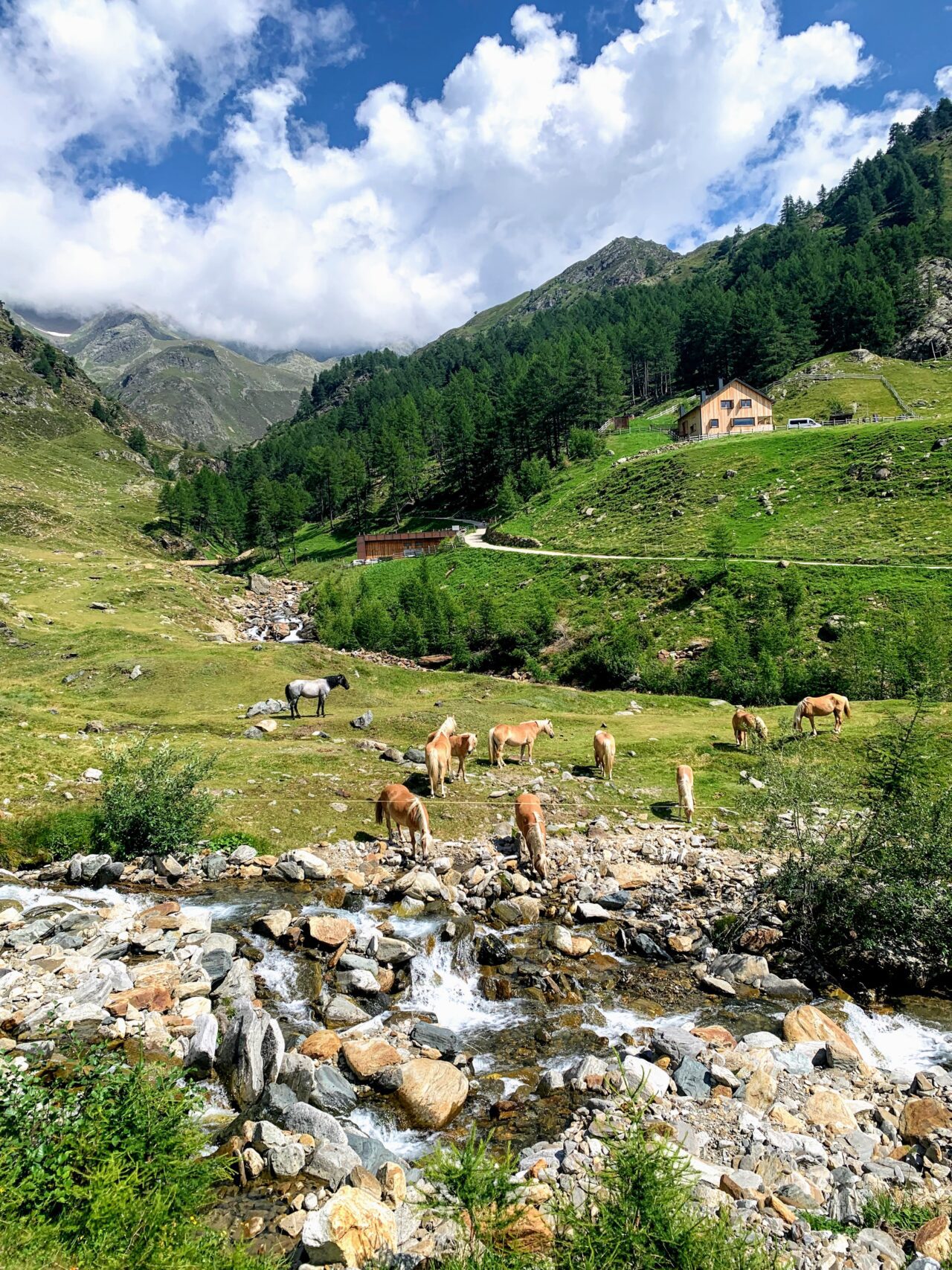 alpenueberquerung_mit_kindern_tag_8_timmelsjoch_pfandleralm_