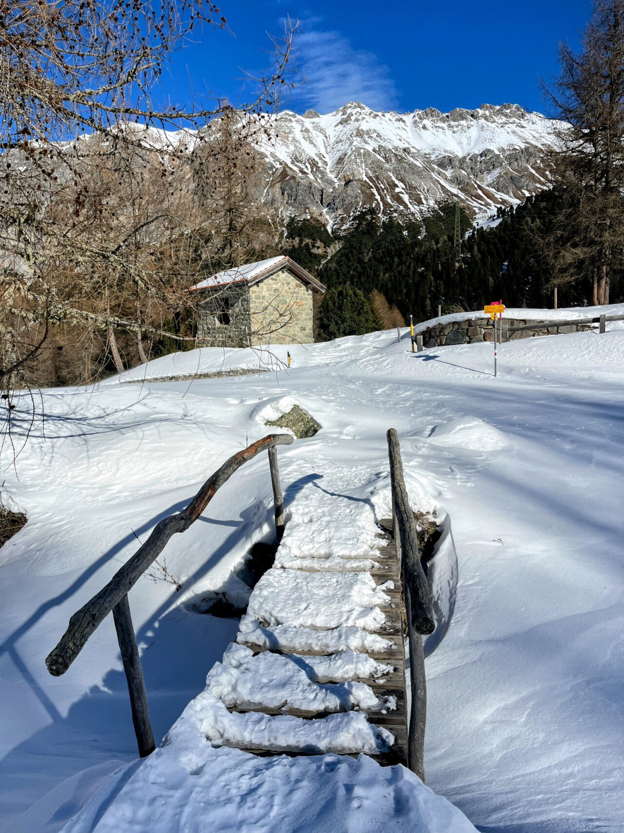 schneeschuhwanderung_preda_albulapass_punt_