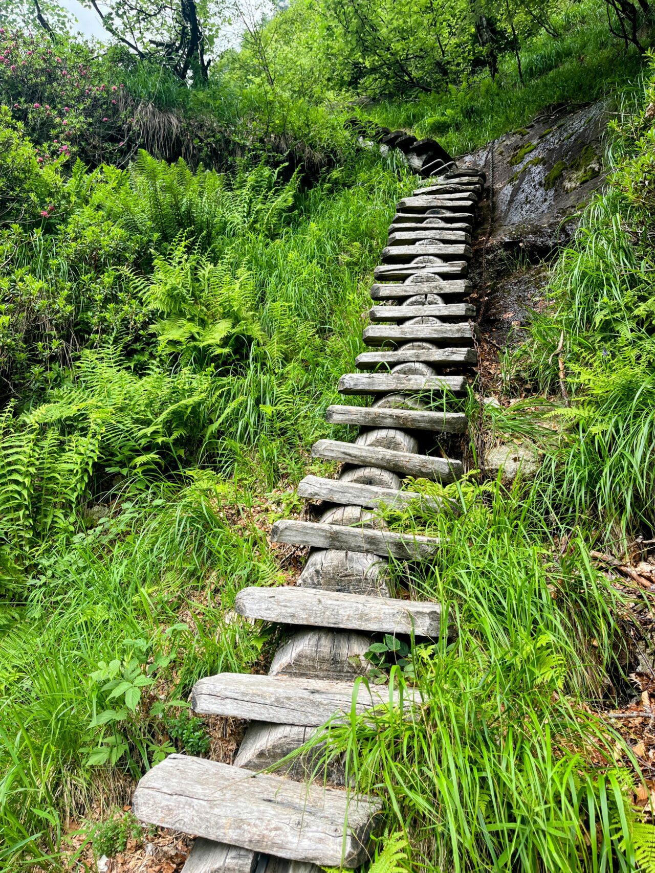 Wanderung_Alta_Via_Vallemaggia_Cimetta_Nimi_Brione_