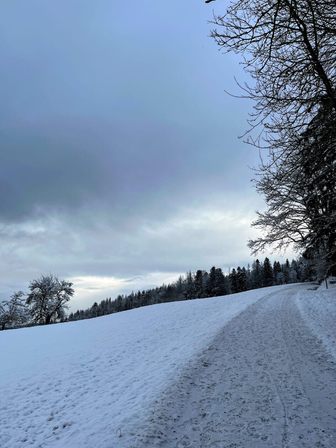 wanderung_albishorn_