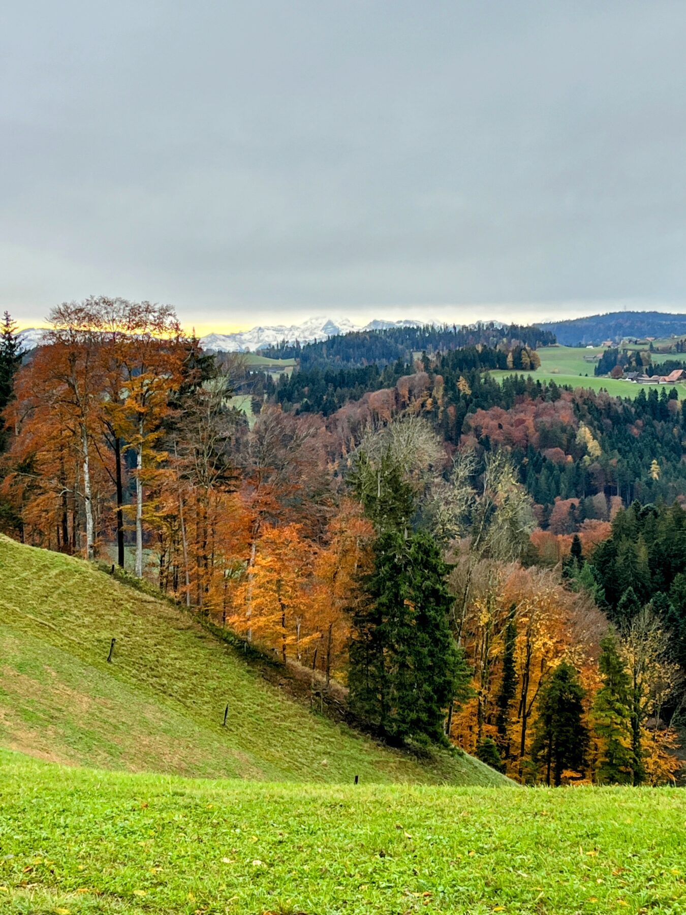wanderung_trans_swiss_trail_etappe_10_11_bern_worb_lützelflüh_