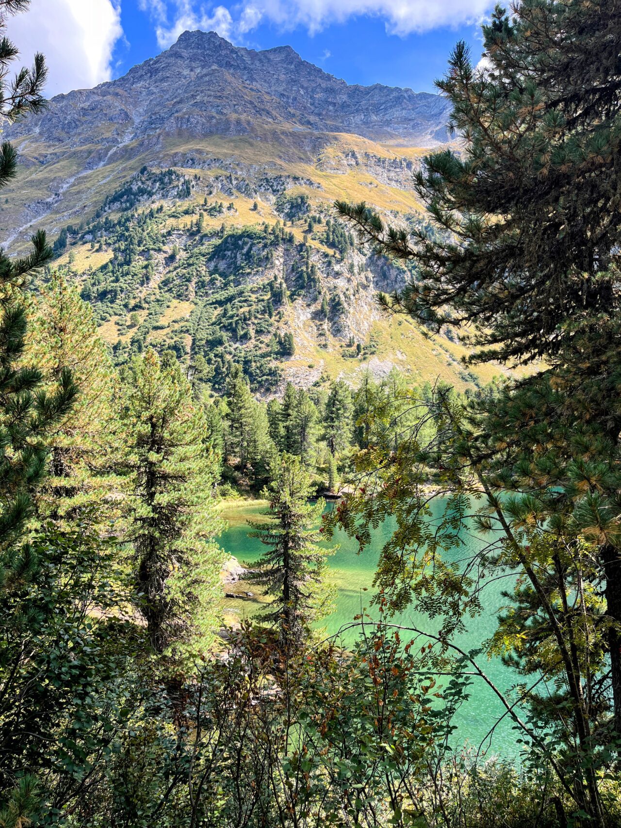 wanderung_sentiero_bernina_sud_