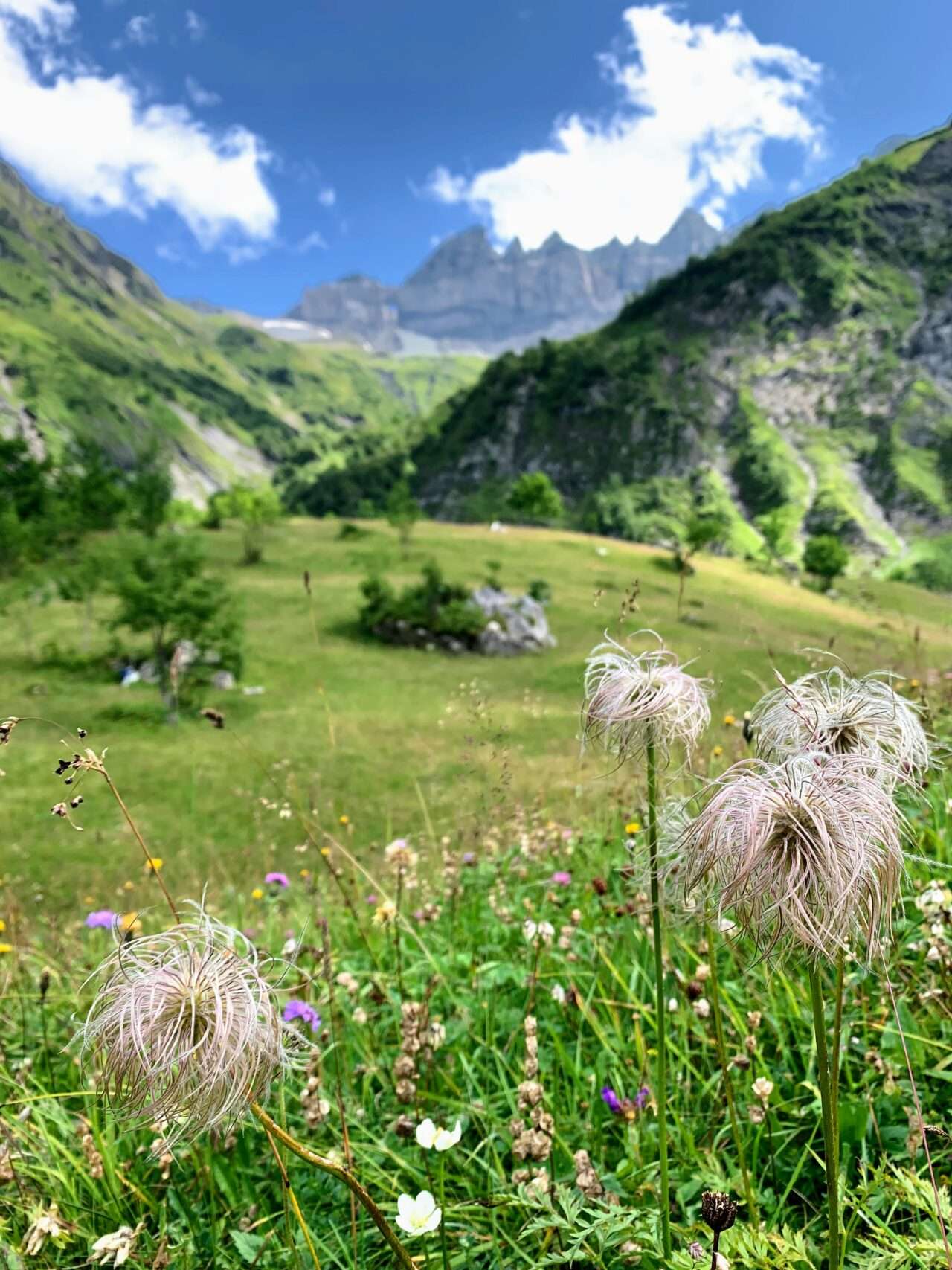 wanderung_martinsmadhuette_