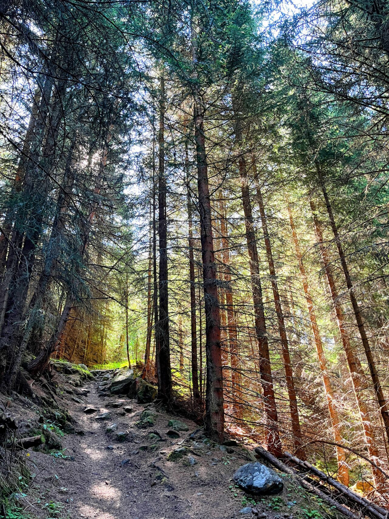 wanderung_brunnenkogelhaus_