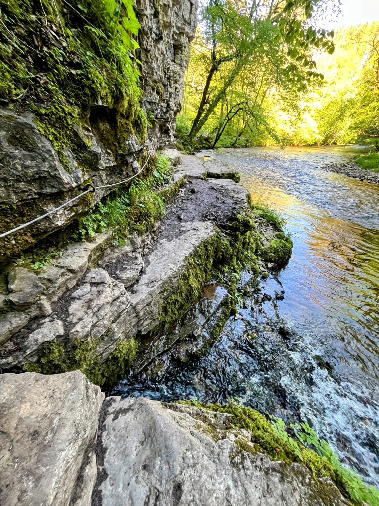 wanderung_schluchtensteig_schwarzwald_