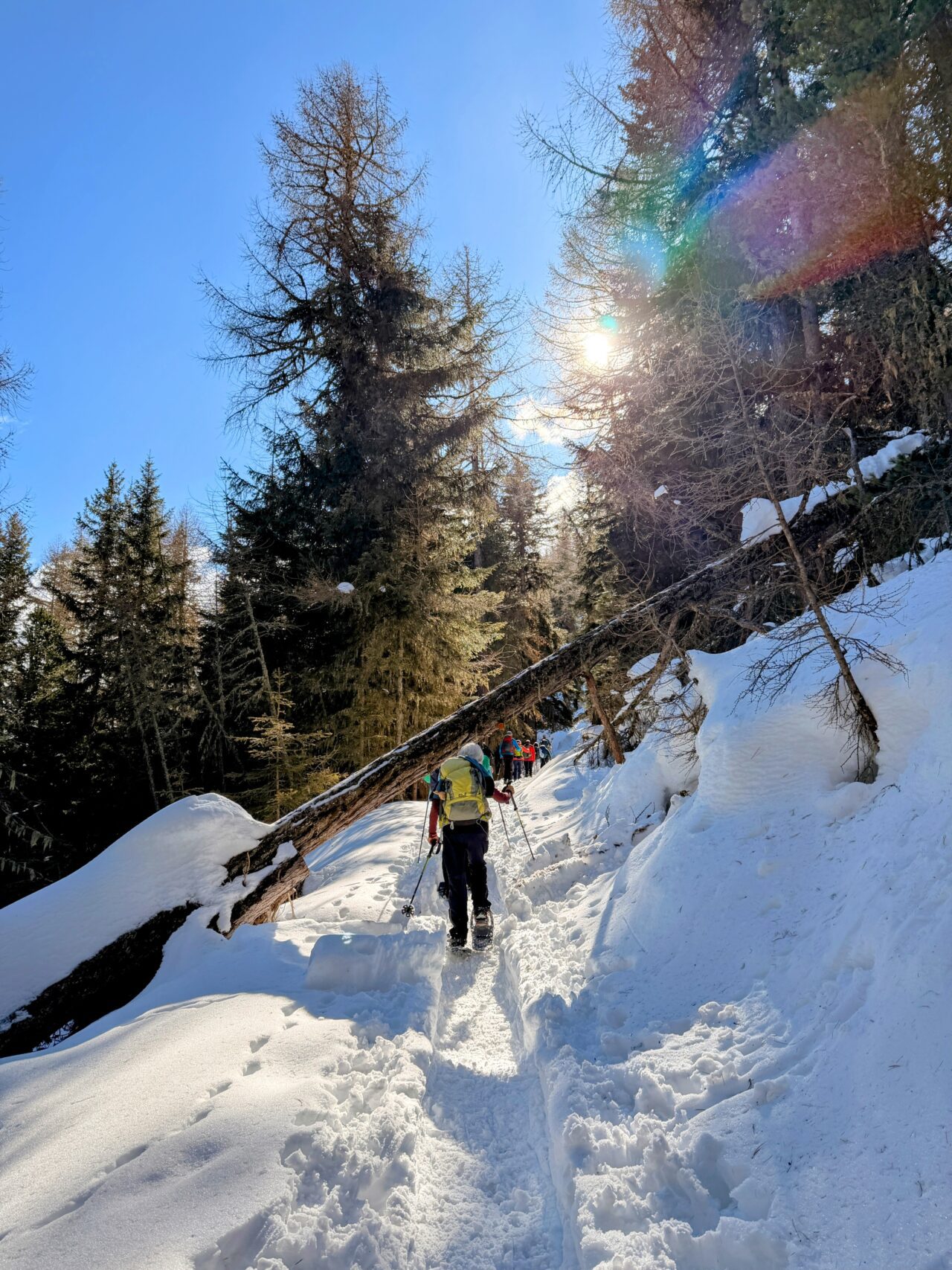 schneeschuhwanderung_buerchen_stand__IMG_9871