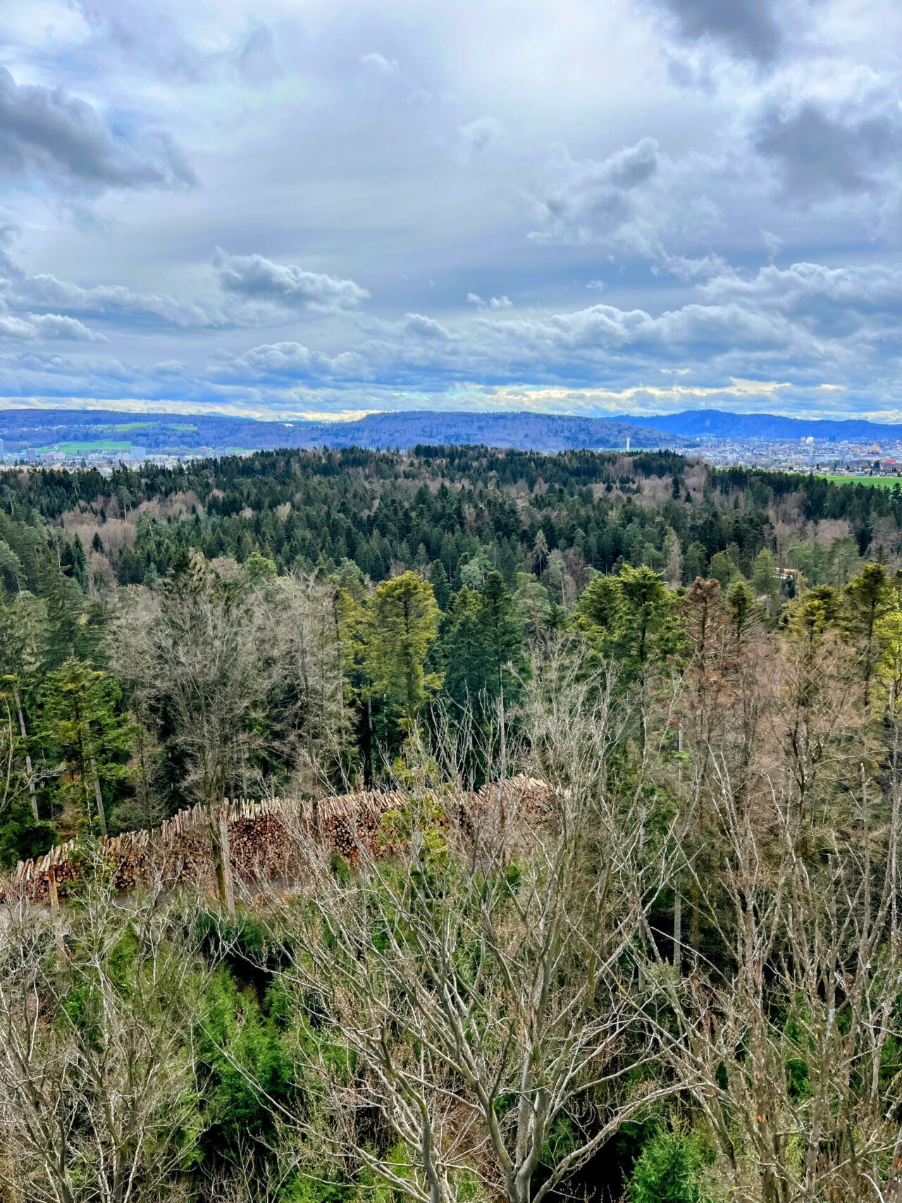wanderung_hardwaldturm_