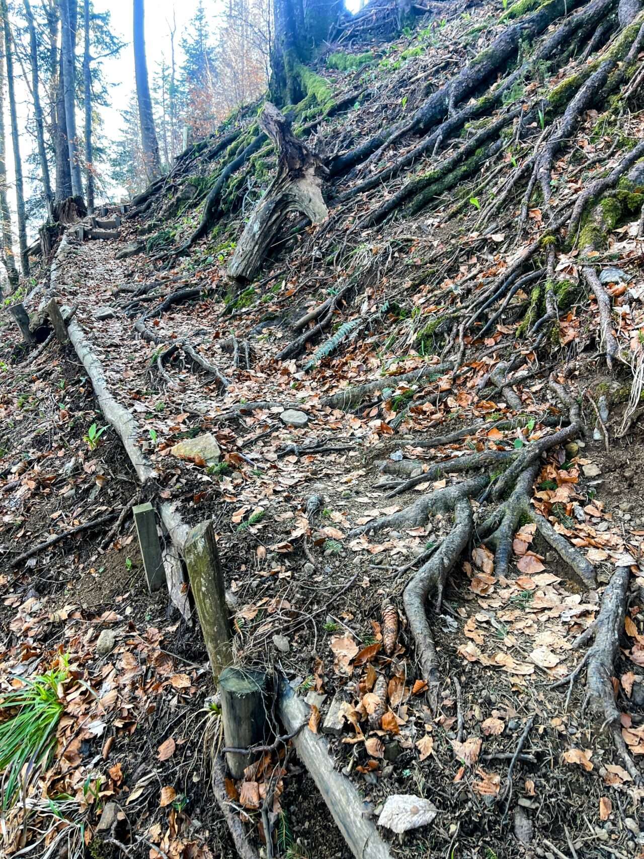 wanderung_vitznau_gersauerstock_vitznauerstock_