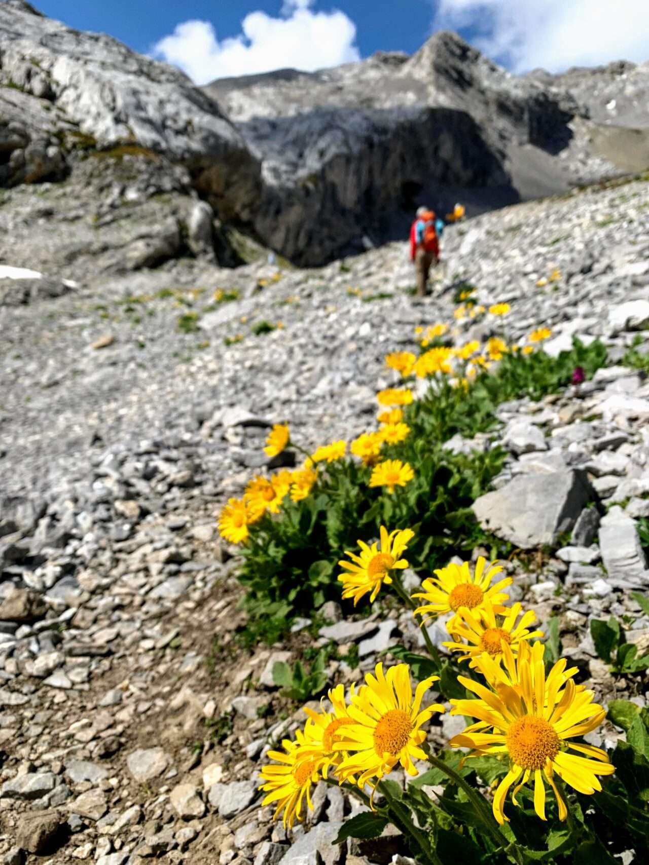 wanderung_tour_du_wildhorn_