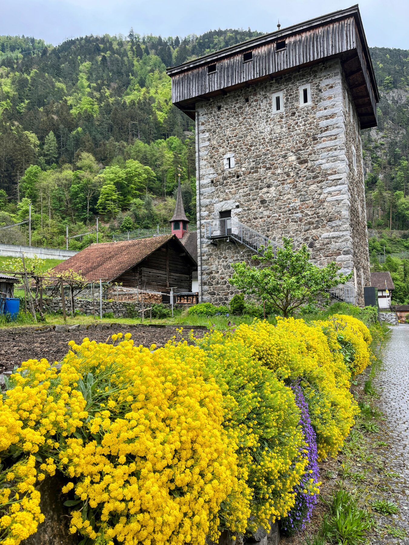trans_swiss_trail_flüelen_amsteg_