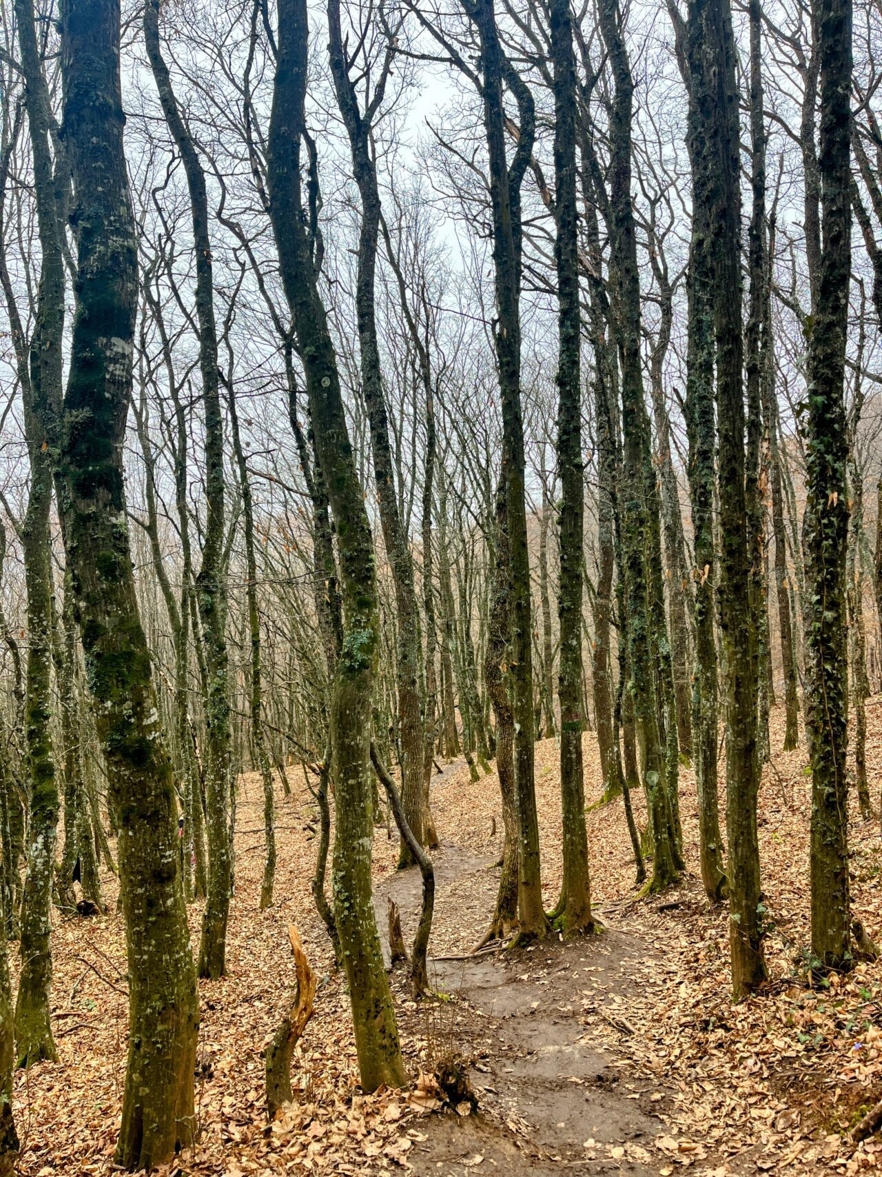 wanderung_matka_skopje_vodno_