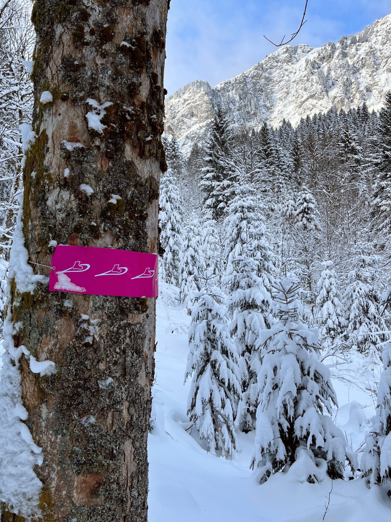 schneeschuhwanderung-furggelenstock-_IMG_9300 (Kopie)