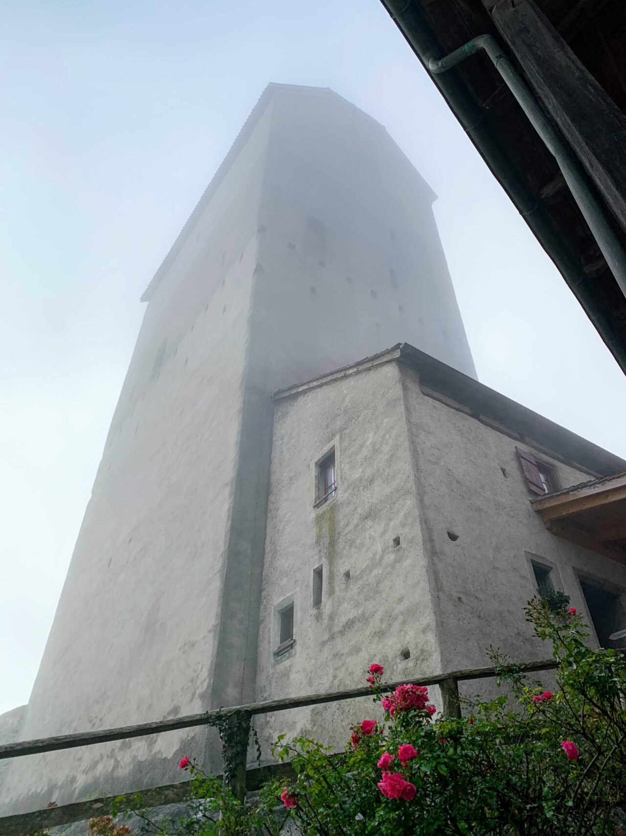 via_alpina_etappe_2_sargans_weisstannen_