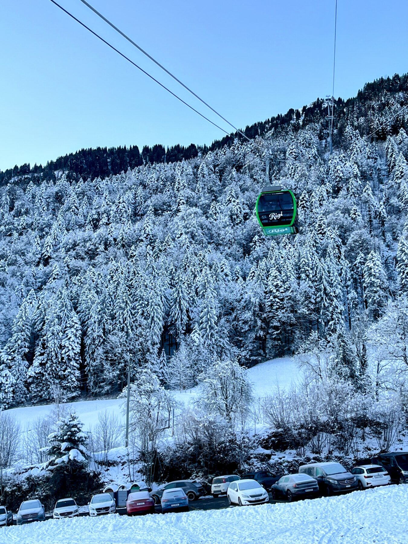 winterwandern_rigi_