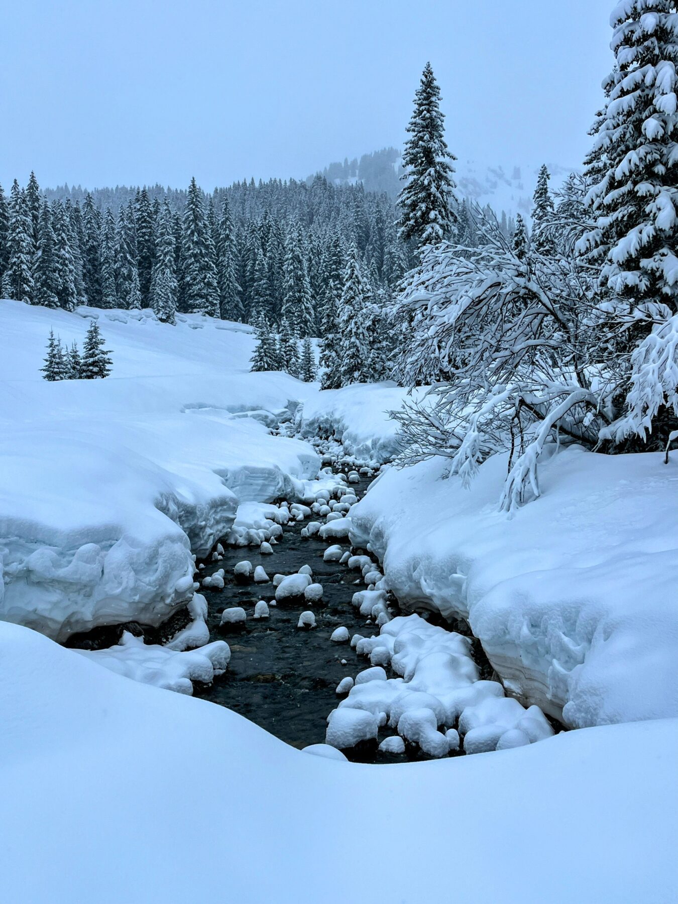 winterwanderung_lech_zug_vorderes_aelpele__IMG_4531