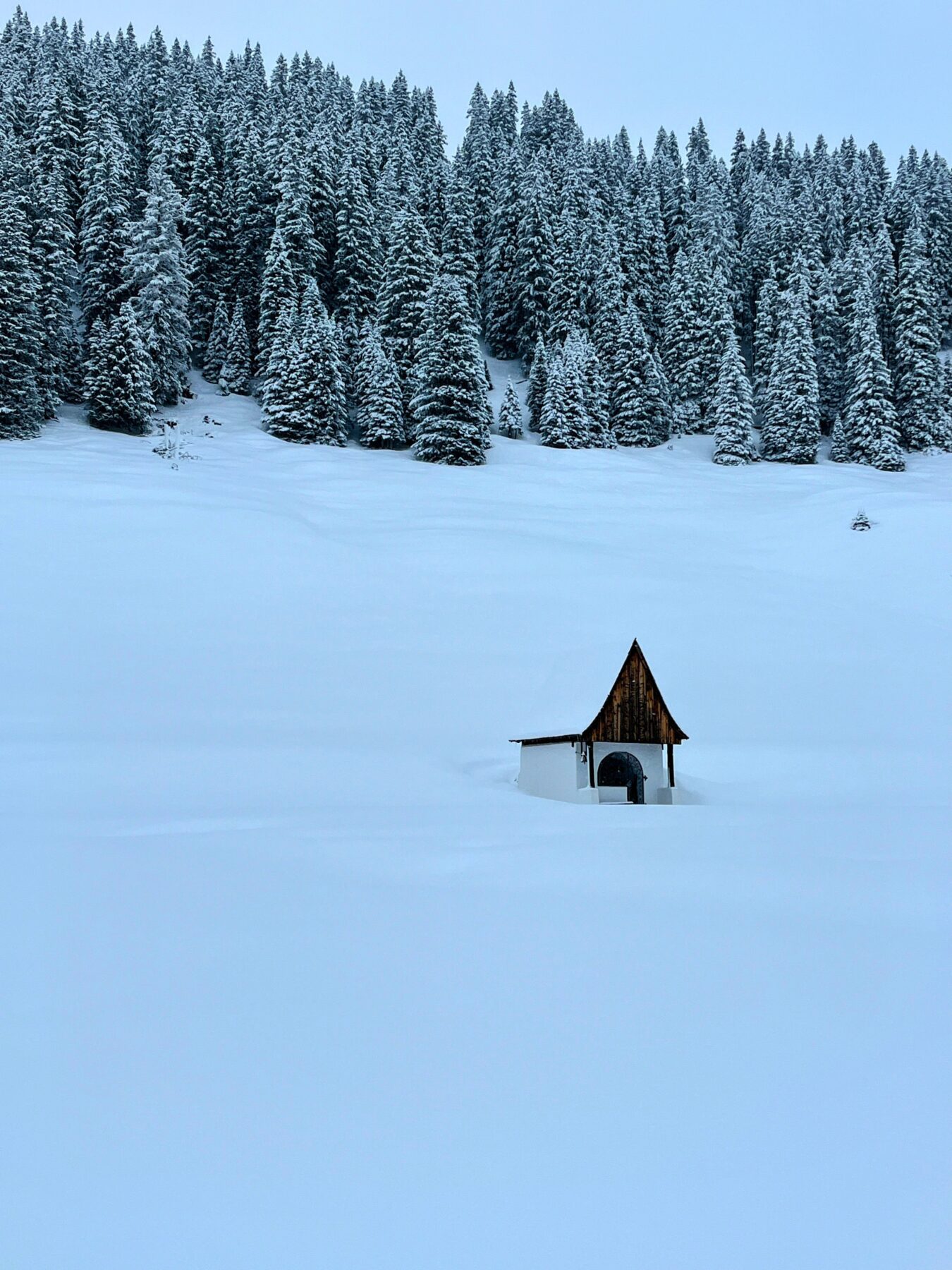 winterwanderung_lech_zug_vorderes_aelpele__IMG_4532