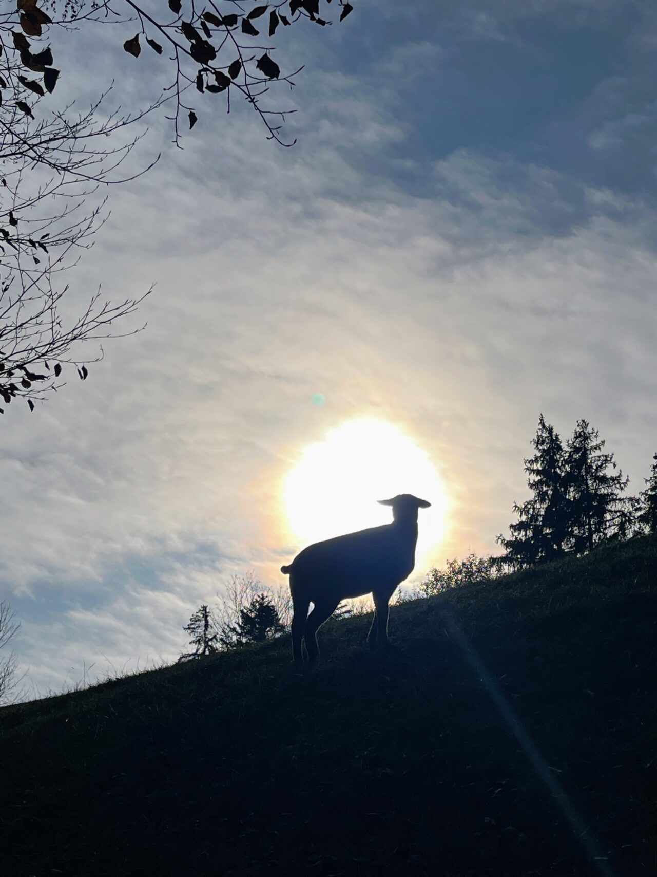 trans-swiss-trail-etappe-12-und-13-luetzelfluh-langnau-eggiswil-