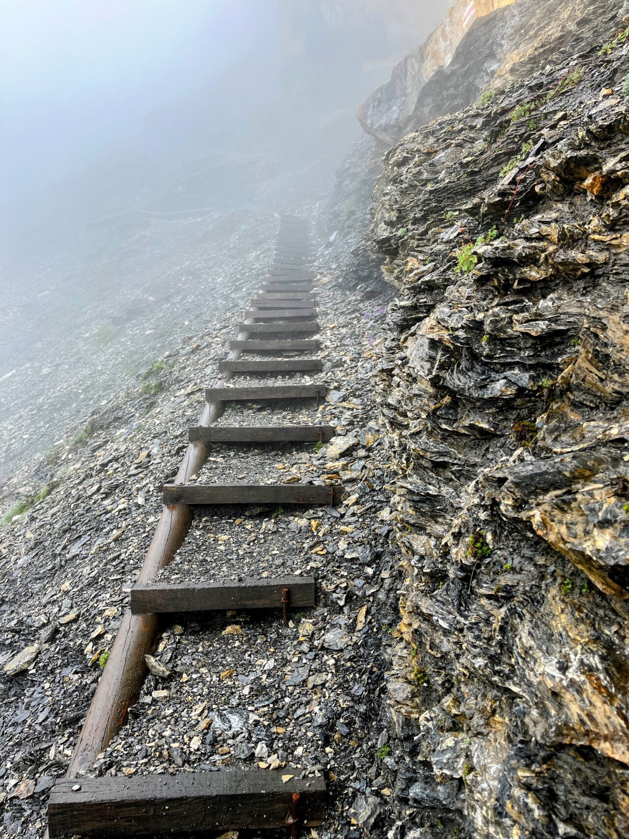 Ab hier geht der Pfad ziemlich geradeaus hoch zum Hohtürlipass und nur die allerwenigsten werden hier ohne Unterstützung der Wanderstöcke laufen! Am heutigen Tag treffen wir unterwegs nur wenig andere Wanderer - an einem sonnigen Tag ist auf dieser sehr beliebten Wanderung unglaublich viel los.