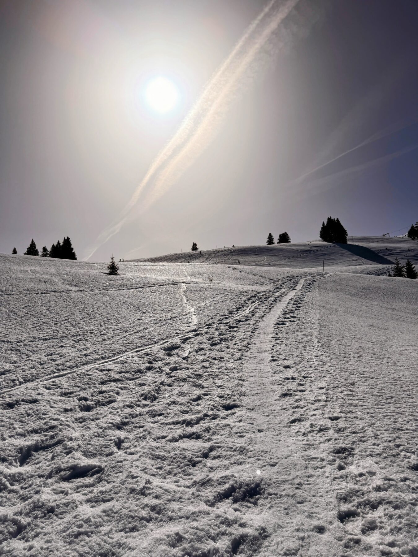 schneeschuhsafari_graubuenden_braembruesch_feldis__IMG_0513