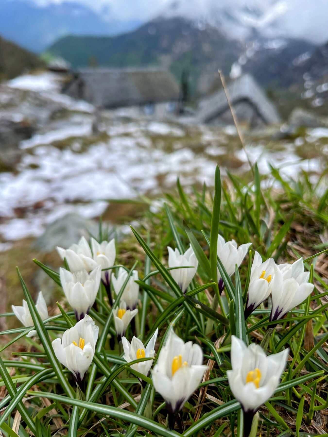 wanderung_someo_capanna_alzasca_