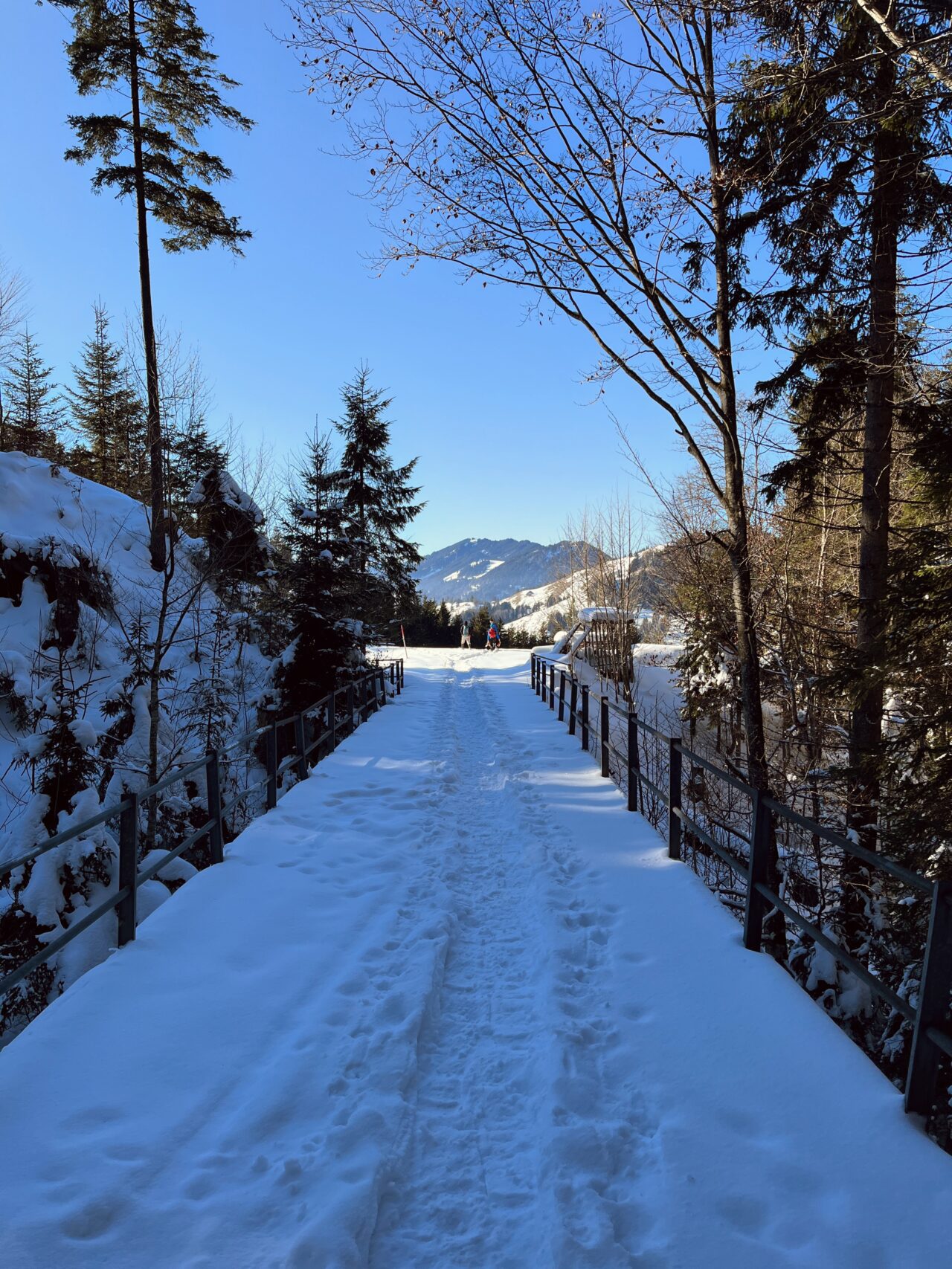 schneeschuhwanderung_rothenturm_ruchegg__IMG_0826 (Kopie)