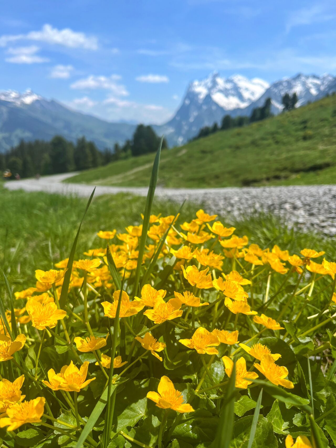 wanderung_via_alpina_grindelwald_lauterbrunnen_