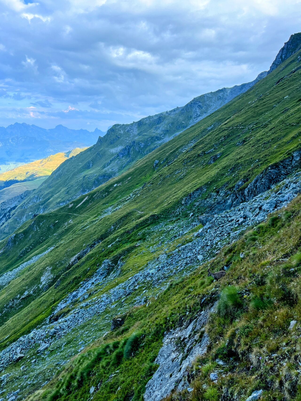 wanderung_alpenpaesseweg_etappe_cabane_de_louvie_verbier_