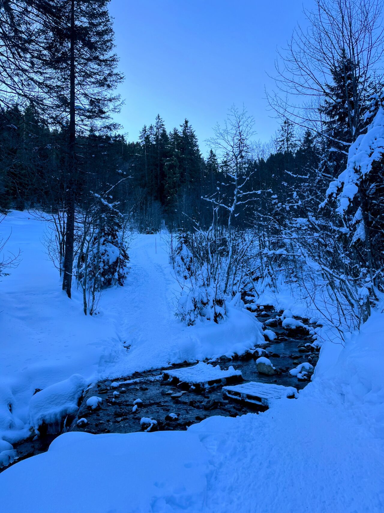 schneeschuhwanderung_wirzweli_arvitrail_chaelenhuette_