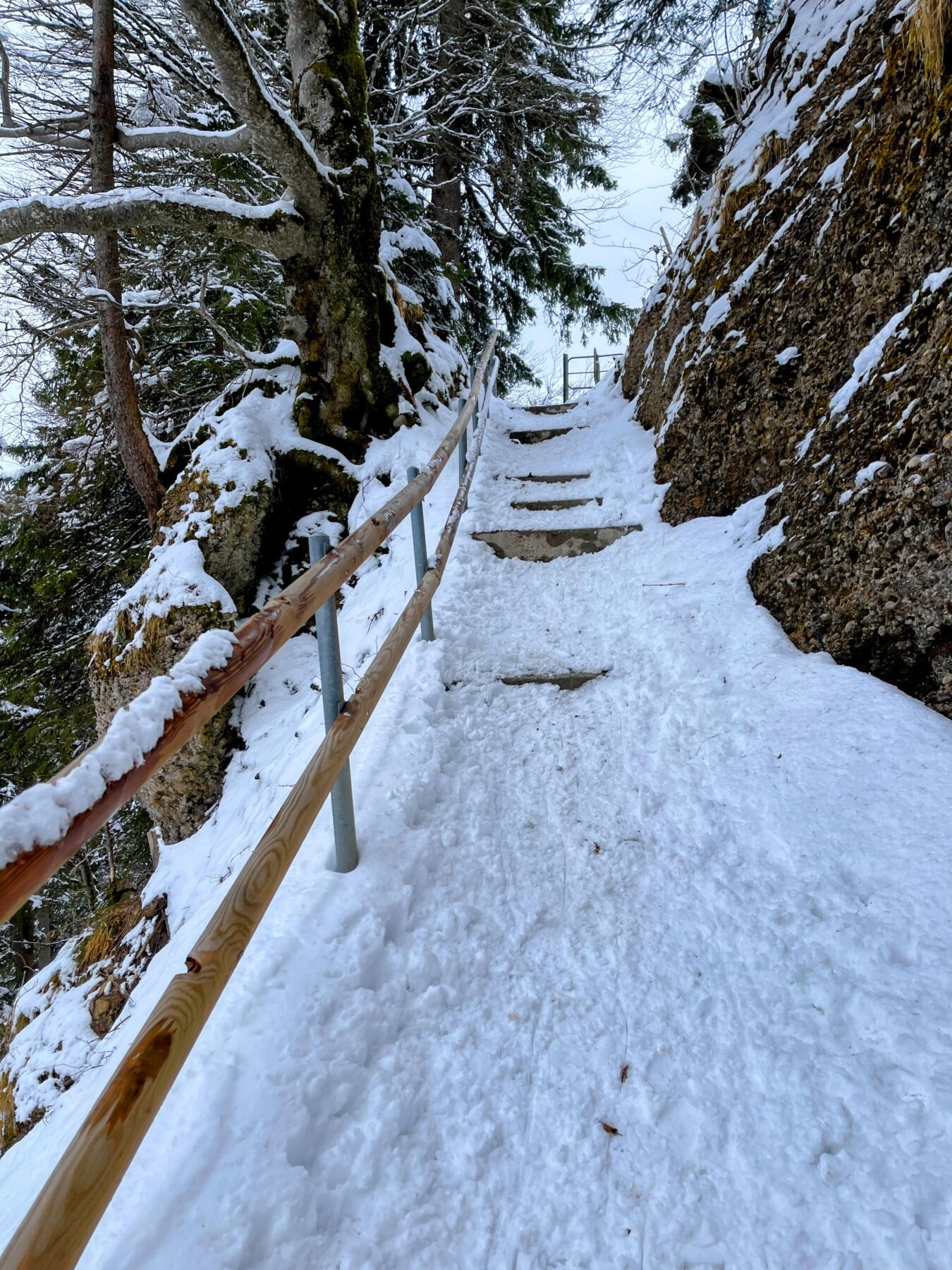 schneeschuhwanderung_atzmaennig_chruezegg_