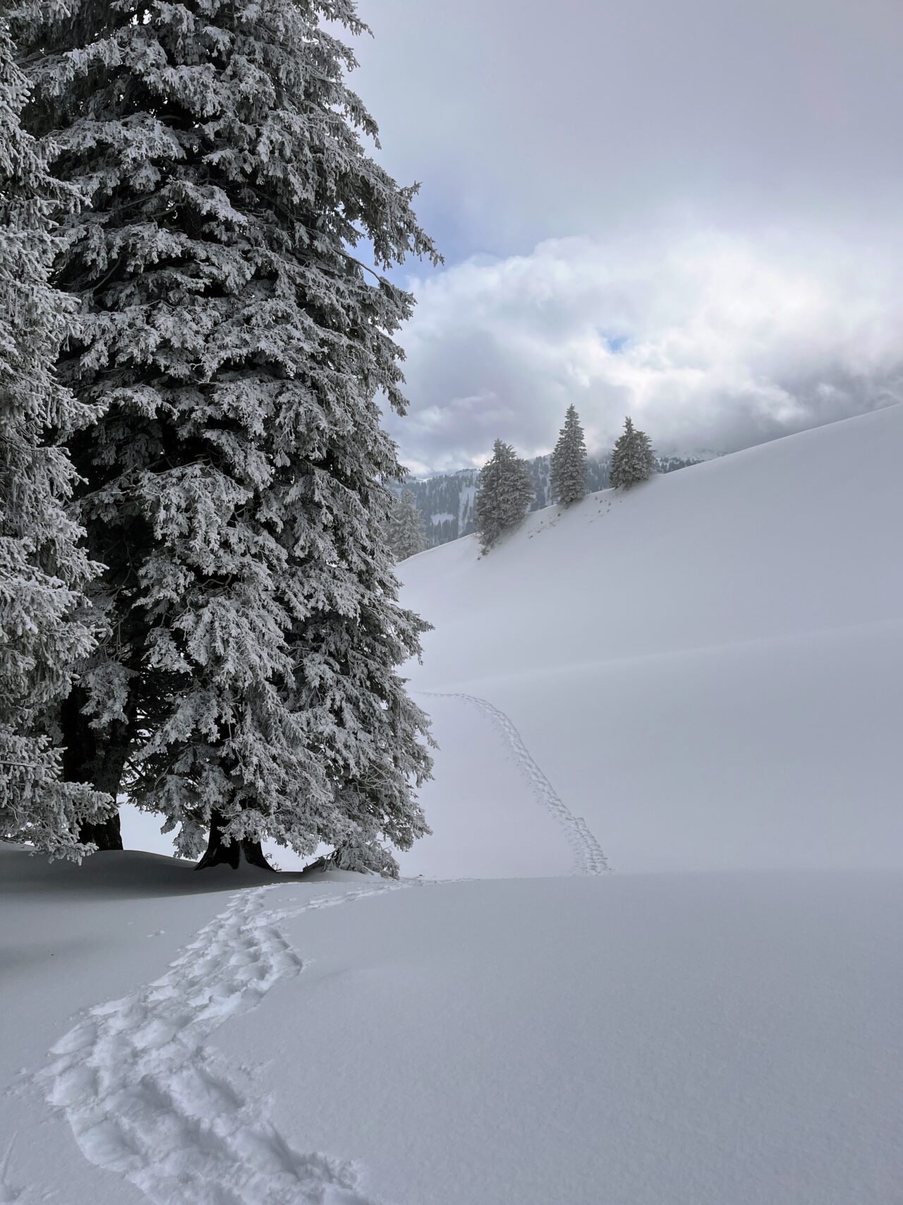 schneeschuhwandern_tanzboden__IMG_1873