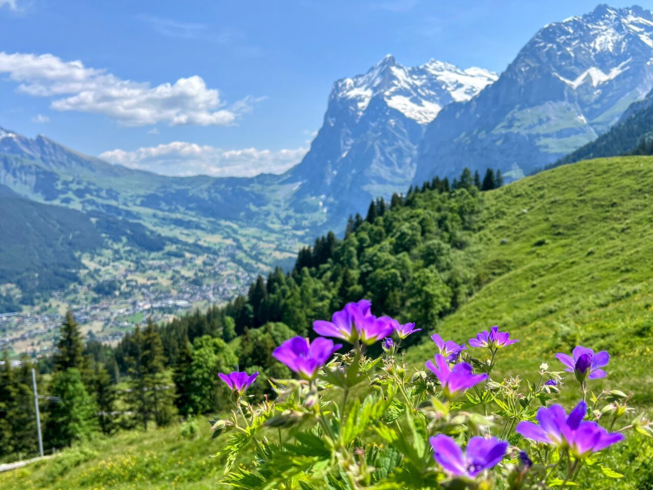 wanderung_via_alpina_grindelwald_lauterbrunnen_