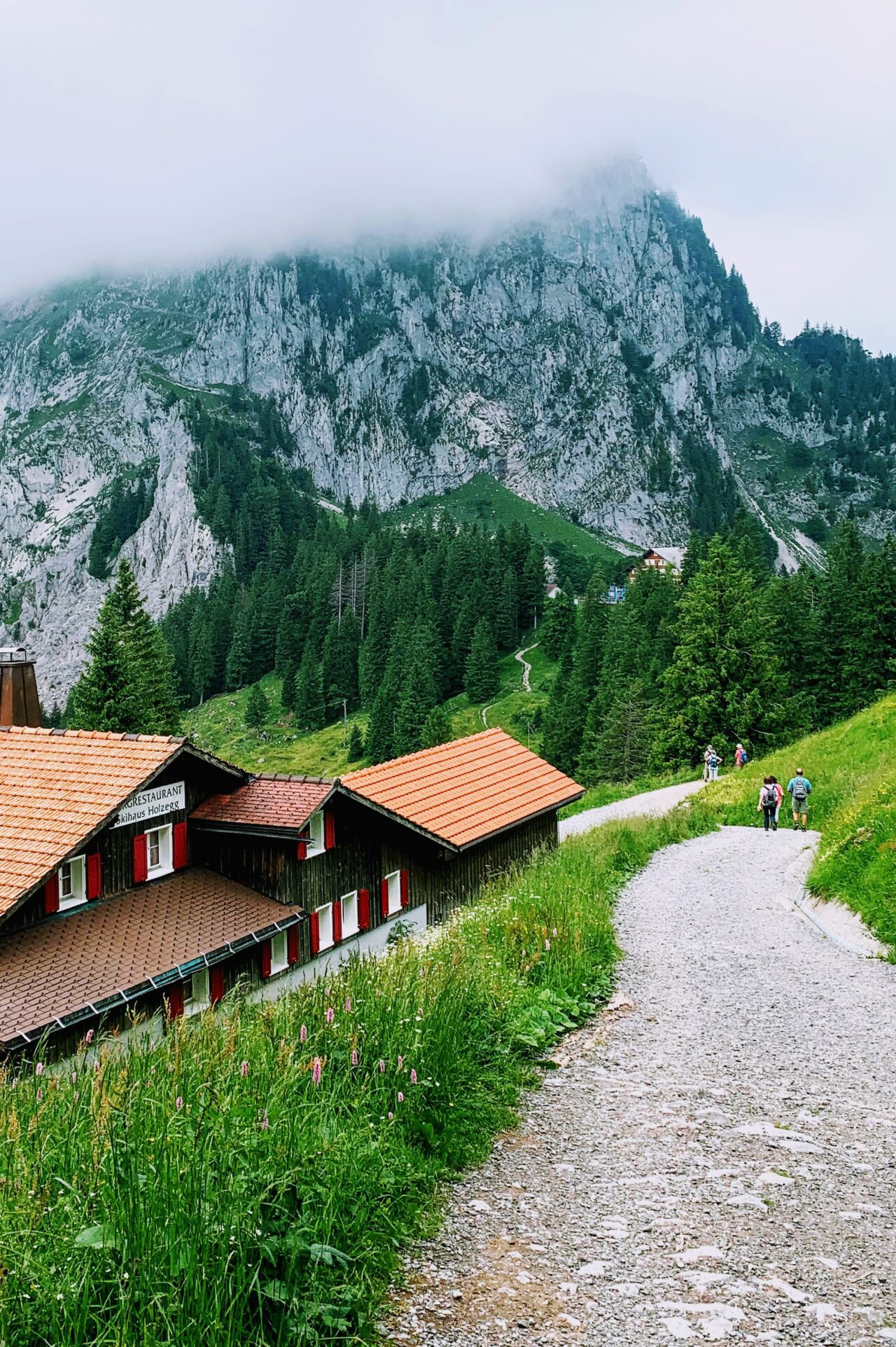 wanderung_7_egg_hoch_ybrig_