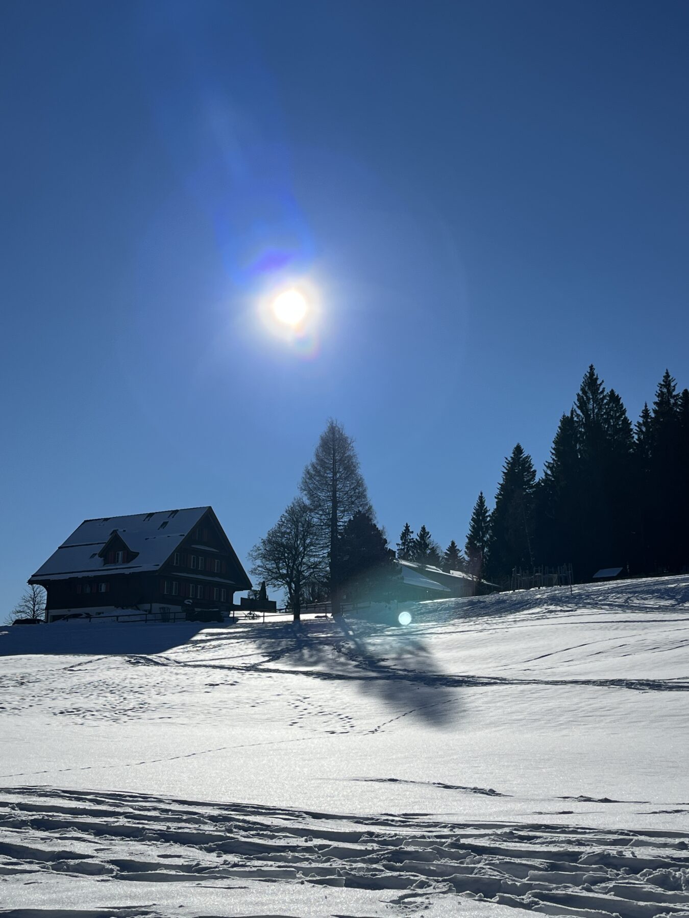 schneeschuhwandern_gottschalkenberg__IMG_0702