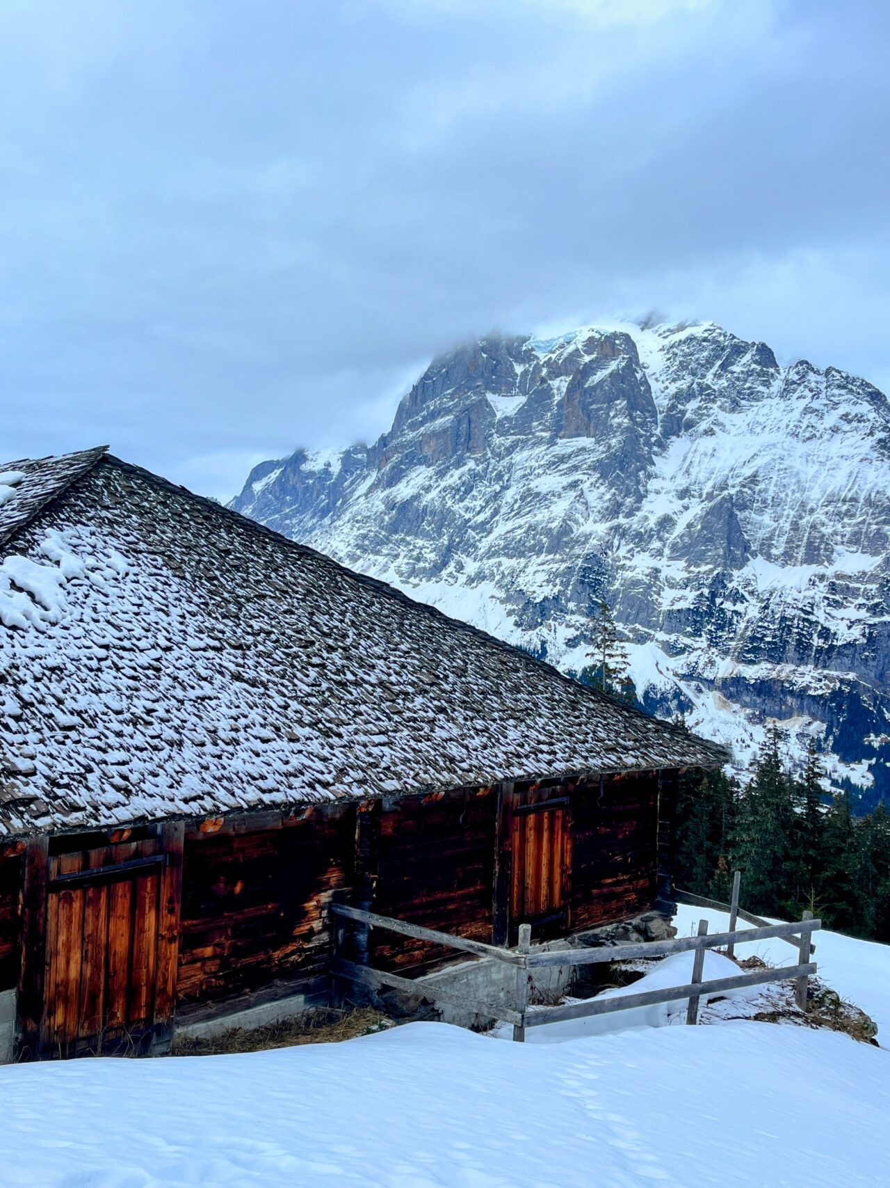 schneeschuhwanderung_panoramaweg_bussalp_bort__IMG_3877